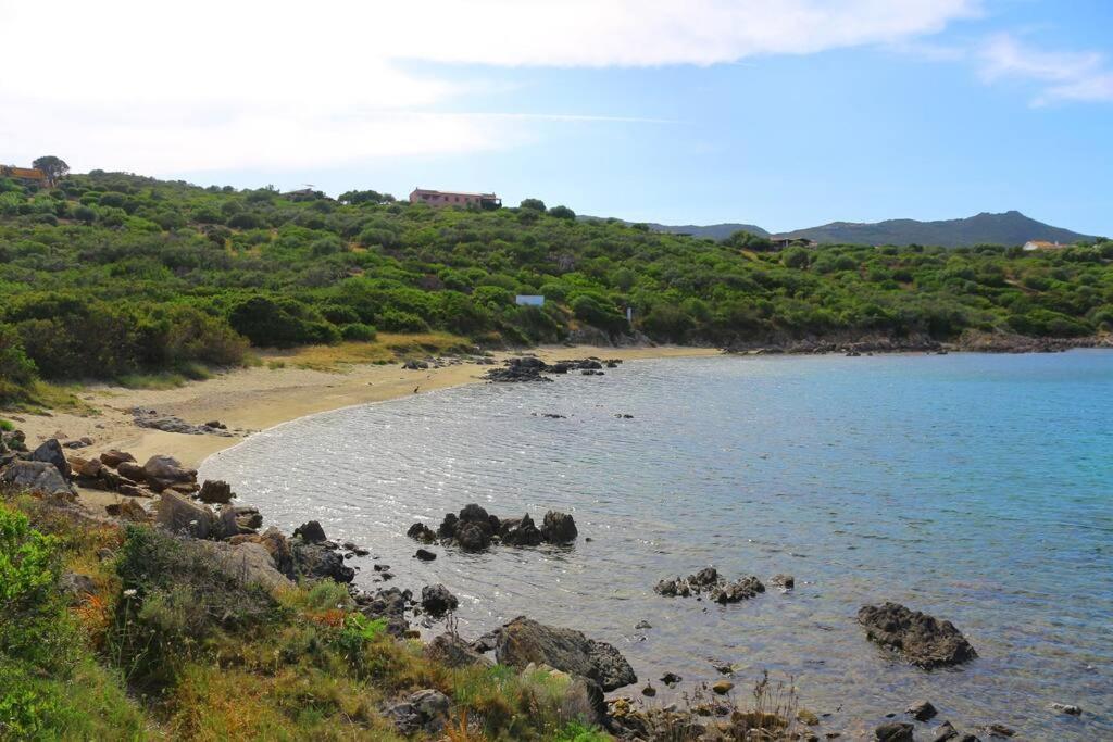 Ferienwohnung Un'Oasi Di Pace In Riva Al Mare Pittulongu Exterior foto